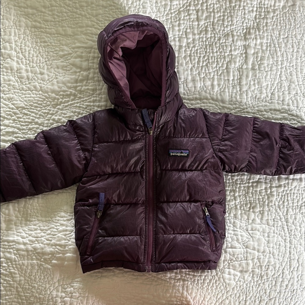 Patagonia Dark Purple Hooded Jacket